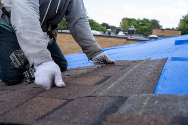 Best Heating Cable for Roof Installation  in Concord, MI